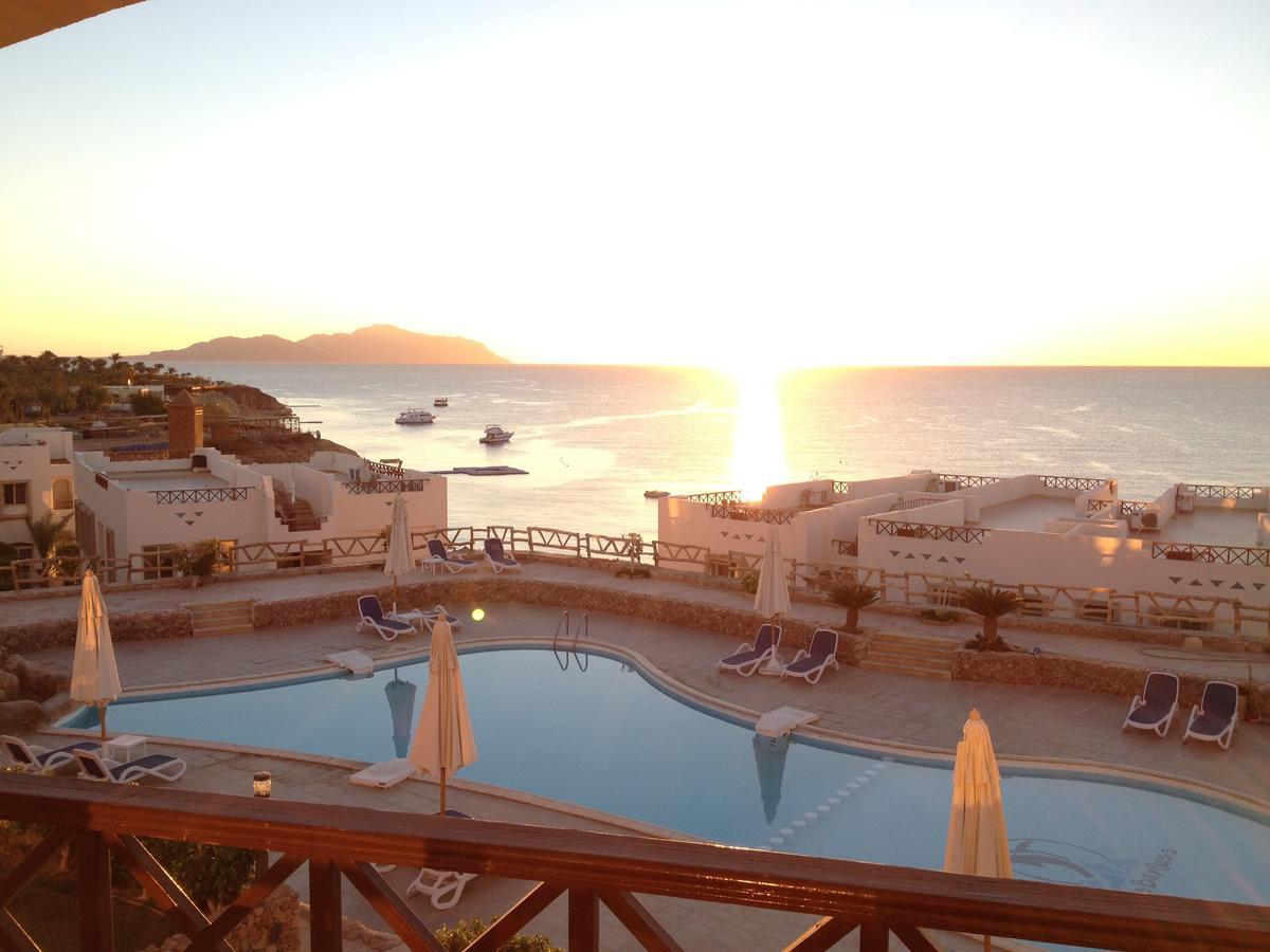 Sharks Bay Oasis Apartment Sharm El Sheikk Exterior foto